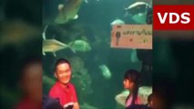 Something fishy is going on as man stages elaborate marriage proposal using diver in aquarium