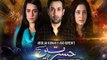 Hasratein Episode 14 PTV Home - 17 January 2016