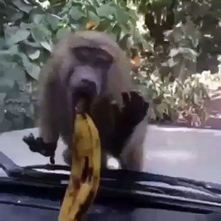 Very Funny Must Watch ..  LOLZ