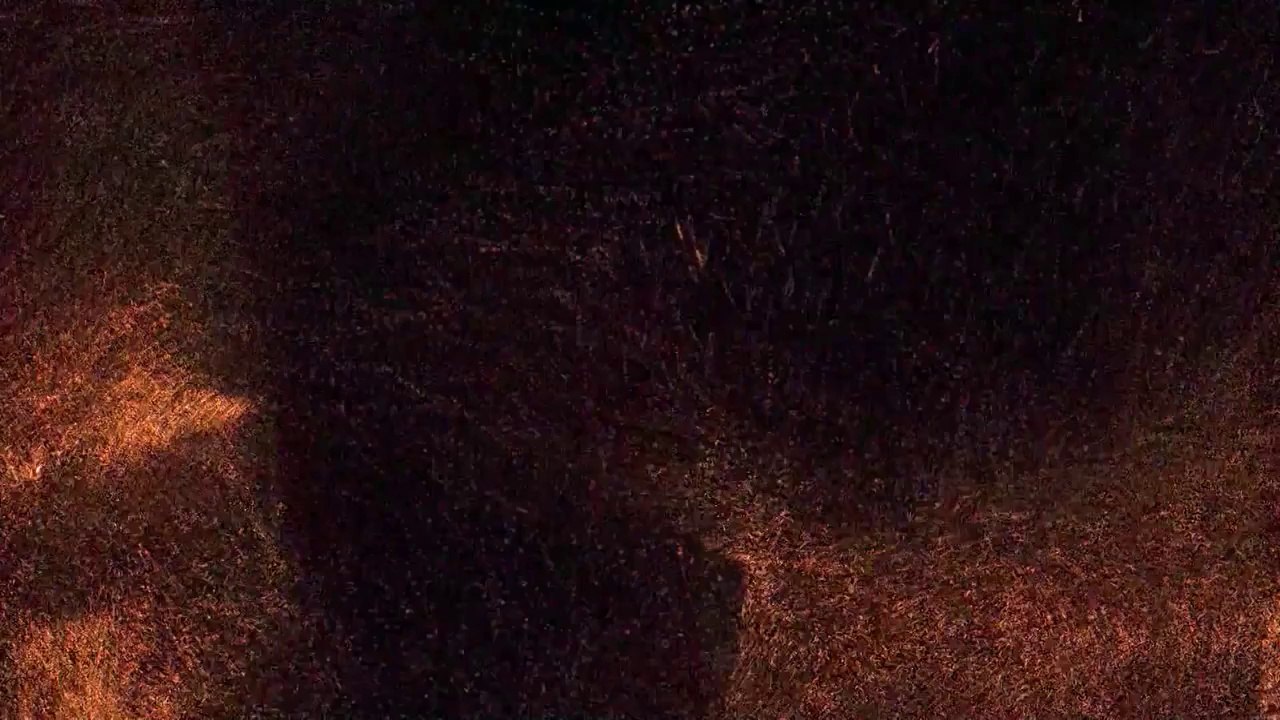 DANA Episode 10