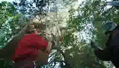 Choti Si Qayamat(Drama Serial) Episode#17-Part 1