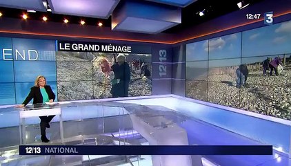 Charente-Maritime : l'heure est au grand nettoyage du littoral