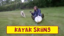 Kayak Skiing On Grass While Dog Chases