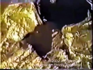 Alien Captured And Video Taped Real Footage