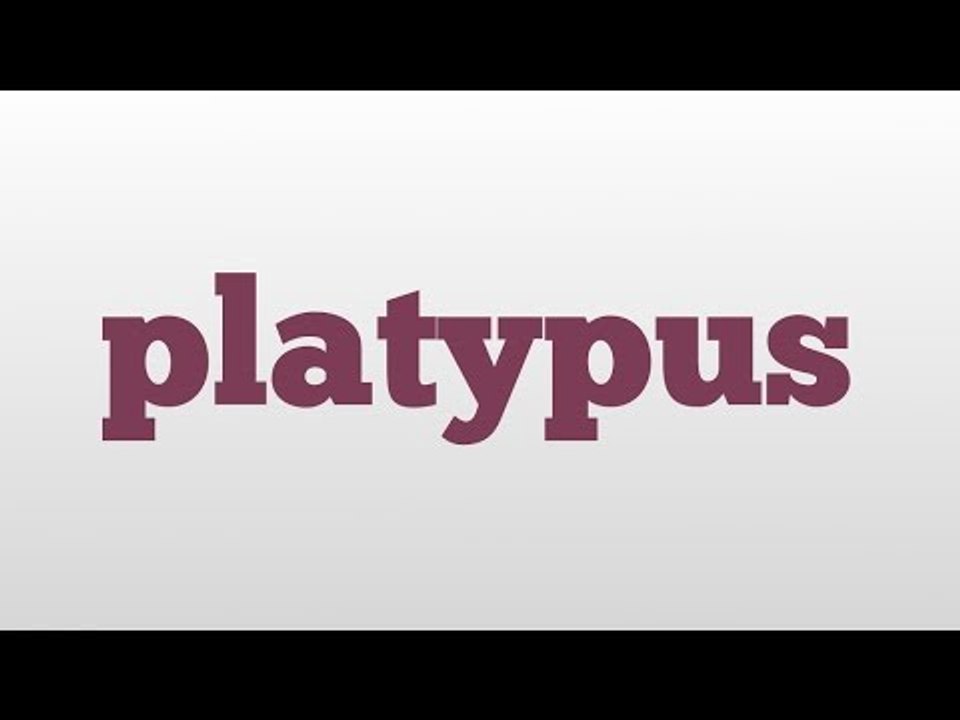 platypus meaning and pronunciation
