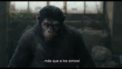 El Planeta de los Simios: Confrontación - Trailer internacional subitulado