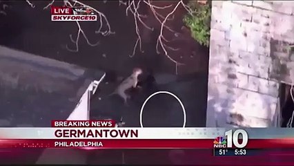 GTA V - Dog Mating - WTF