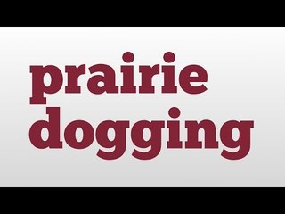 prairie dogging meaning and pronunciation