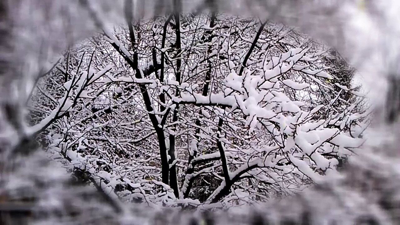 Zima