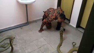 Snake yeaaa kiss that king Cobra