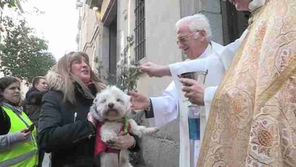 Fieles a la tradición, con sus mascotas a la iglesia de San Antón