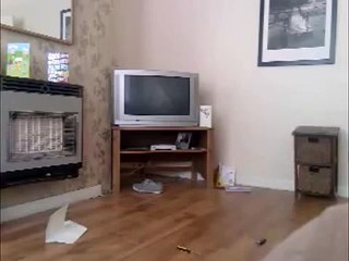 Real Demon Ghost Caught On Tape Poltergeist Activity 2011