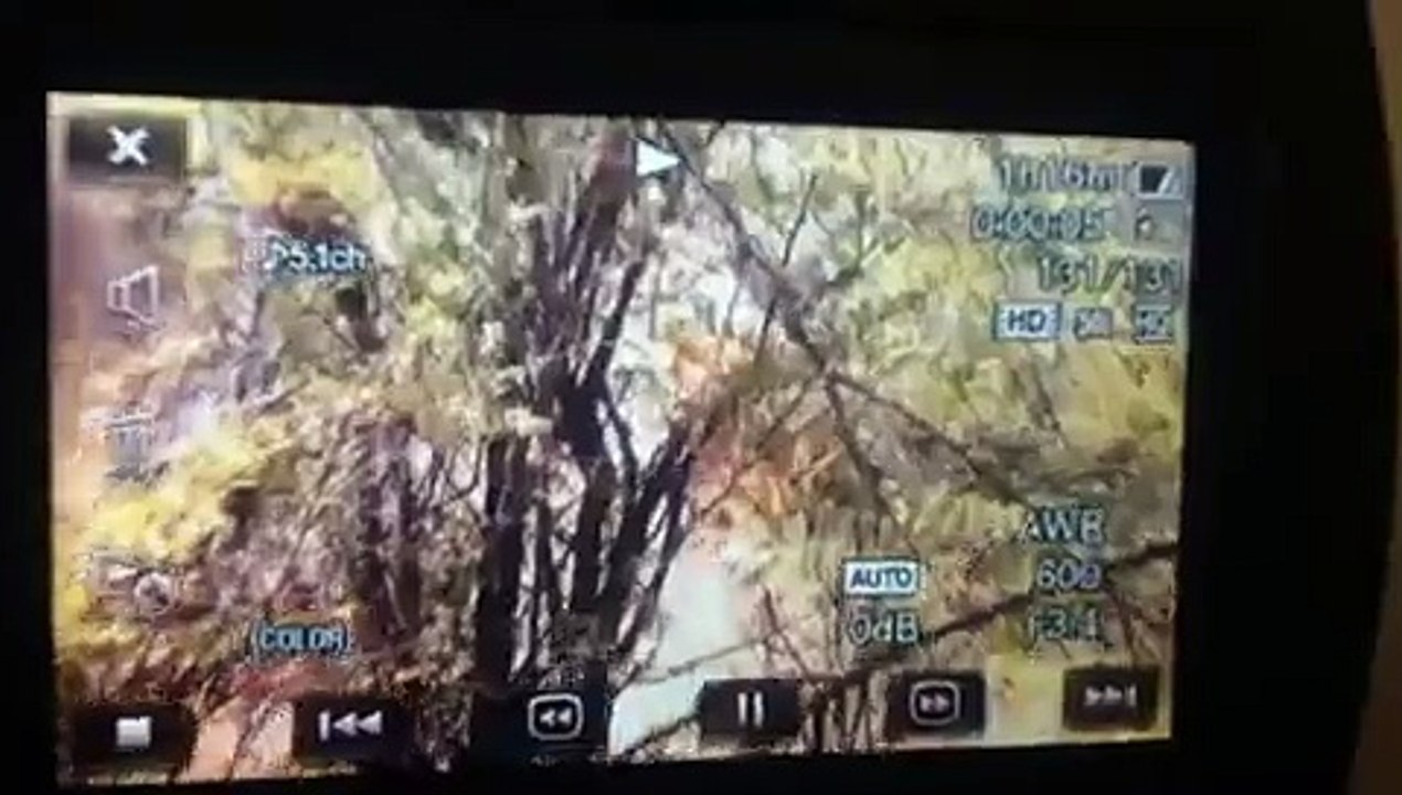 African Lion Attacks and Mauls Hunter