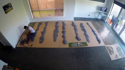 Ce puzzle de 33600 pièces a été terminé en 9 mois seulement ! Regardez le résultat !