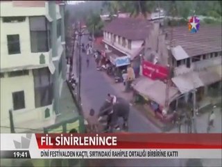 Festivalden kaçan Fil sırtındaki Rahip ile ortalığı birbirine kattı