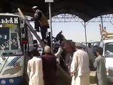 Powerful Pathan Lifting Donkey on His Shoulders - Funny Pashto Clip