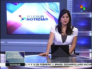 Alerta en América Latina por el virus Zika