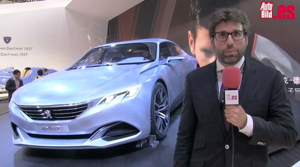 Salón de Pekín 2014