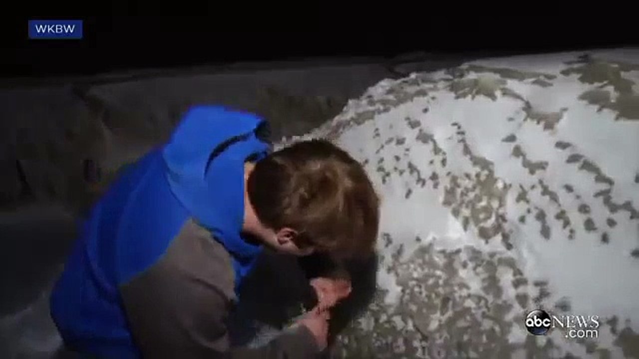 Cette voiture congelée a finalement été libéré