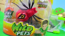 Shopkins Season 4 Visit Interactive Attack Wild Pets Spider In Cage Habitat at Zoo Cookies