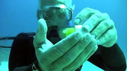 Su Altında Yumurtayı Kırarsanız Ne Olur Yok Böyle Bir Şey