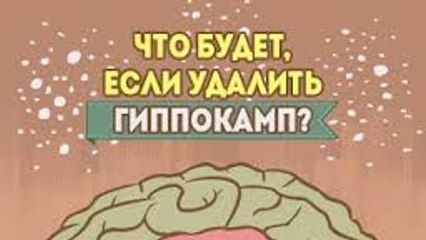 Tải video: Что будет, если удалить гиппокамп?