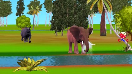 Elephant Vs Rhino Cartoons Singing Finger Family Nursery Rhymes For Children And Kids