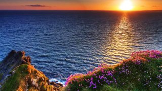 15 Minute Deep Healing Meditation Music: Relaxing Music, Calming Music, Soothing Music, Re