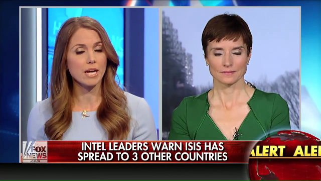 Brutal video purports to show Jordanian pilot burned alive