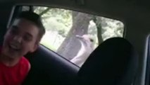 Ostrich Steals Boy’s Phone Out Of His Hand