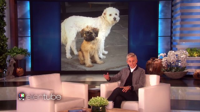 Ellen DeGeneres and Portia de Rossi Finally Have a Kid!