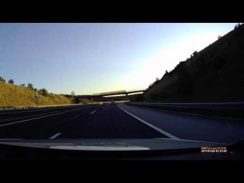 ЖИВОТНЫЕ ПЕРЕХОДЯТ ДОРОГУ ПО ПЕШЕХОДНОМУ ПЕРЕХОДУ!