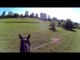 Funny Horses,Ostern  Filly 5,Funny Animals,Pferde Video,Foal,Baby horse,Cavalli,말,chevaux