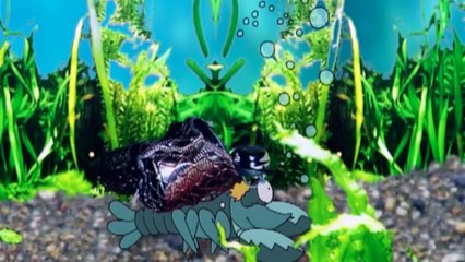 Sandmännchen: Kalli Krebs Folge 28 Unser Sandmännchen (rbb media)