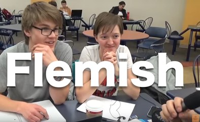 What Flemish sounds like to foreigners