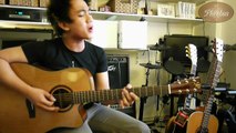 Phoebus PG-50ce electro acoustic demo by Renz