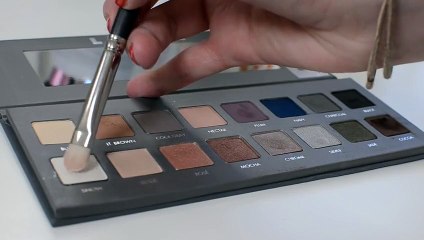 Neutral/Everyday Makeup Look