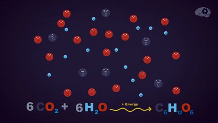 Закон сохранения массы