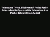 Yellowstone Trees & Wildflowers: A Folding Pocket Guide to Familiar Species of the Yellowstone