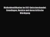 Risikoidentifikation im CO2-Emissionshandel: Grundlagen Ansätze und deren kritische Würdigung