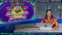 Pongal celebration in Singapore and Tamilnadu 15012016