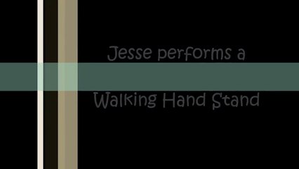 Собака бегает на передних лапах!