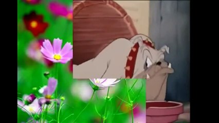 ♥Mickey Mouse and Pluto Classic Colection Disney Classics Cartoons♥
