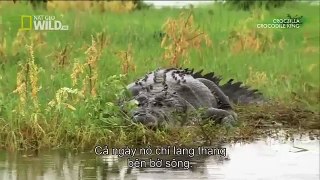 The giant crocodile - National Geographic - 2015 Wildlife Documentary