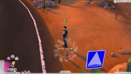 The Sims 4 Unlock the mysterious lot in Oasis Springs