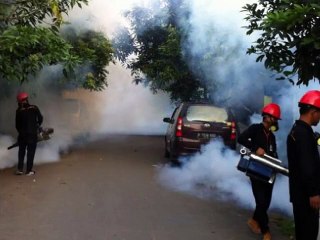08176795221, Jasa Fogging Nyamuk Demam Berdarah di bandung