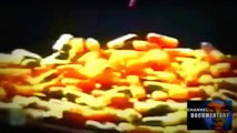 CRACK La droga del diablo /Documental completo en Español