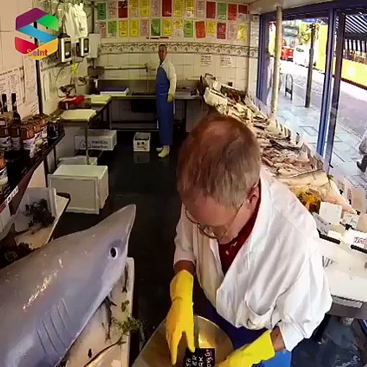 Scary Shark Prank
