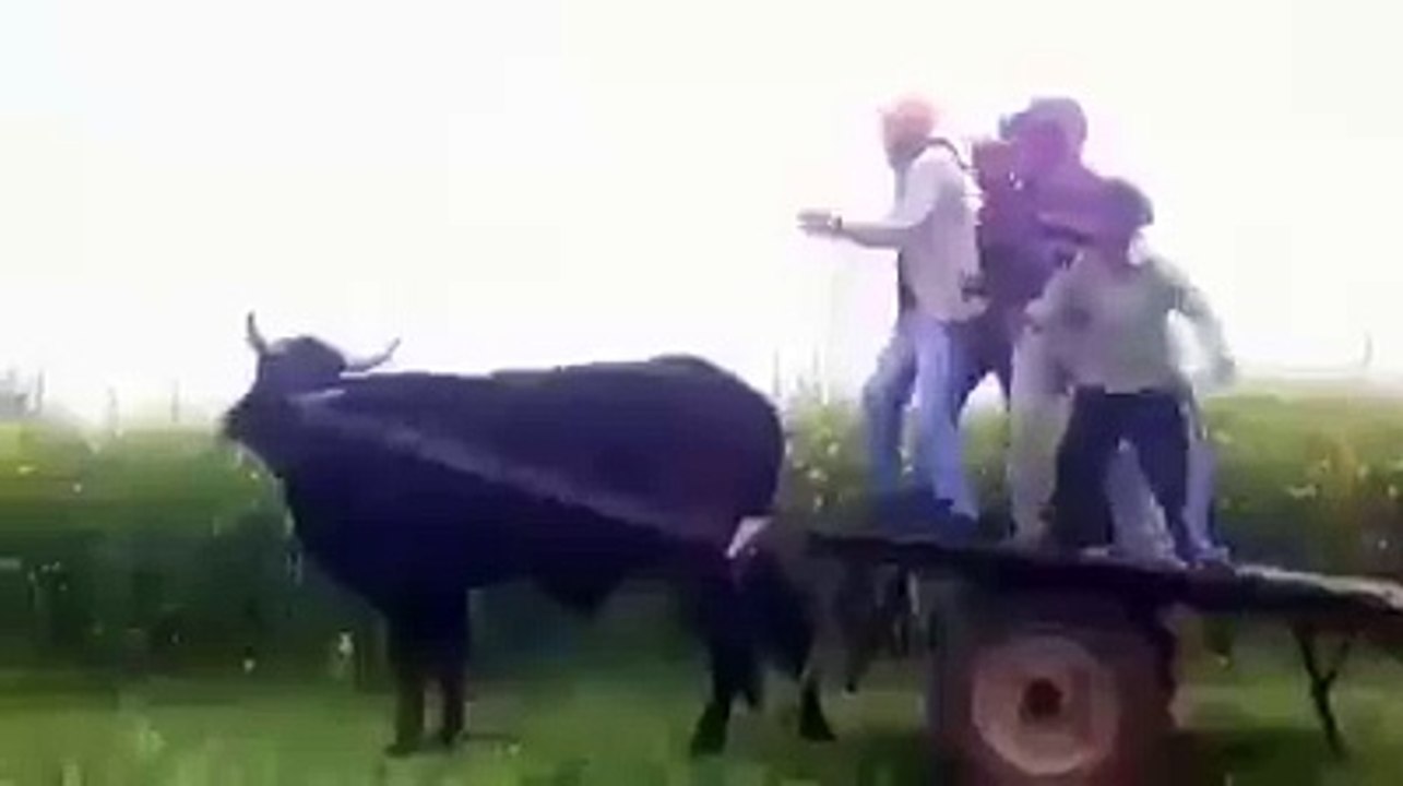 Funny Punjabi Boys