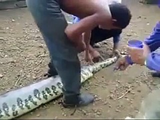 İnanılmaz Bir Şey Yok Böyle Bir Şey